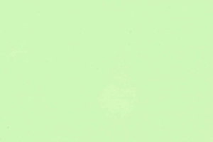 88