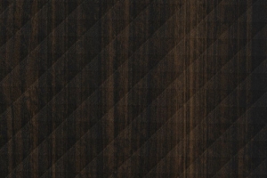 CheopeLR29
