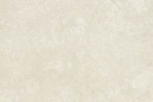 F166st9hu