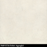 F649st16hu