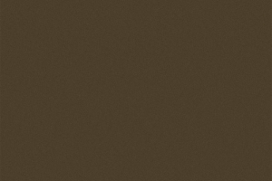 F70008 SD Metalic Toffee