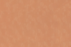 F73042 F8697 Trivio orange