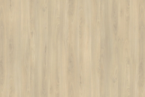 R24029 R5829 Fjord Beech light