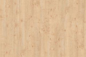R35003 R5822 Masuren Birch sand