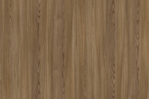 R37017 NW Salisbury Elm Grey