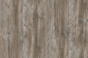 R55004 RU Ponderosa Pine