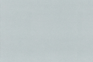 S66016 F8236 Dexter aqua