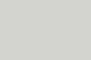 U12131 U1131 Silver Grey