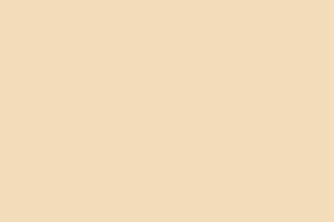 U16020 U1313 Cream