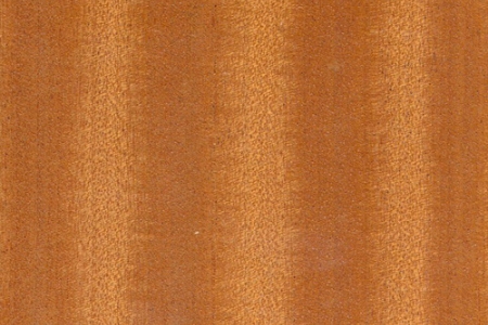 b11