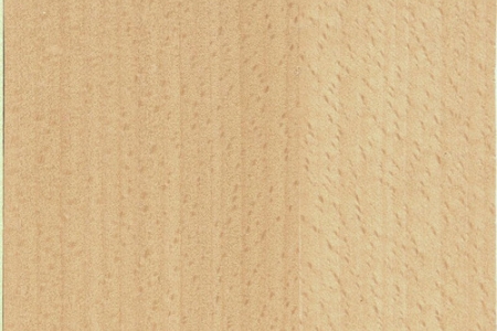 b5