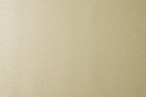 p210
